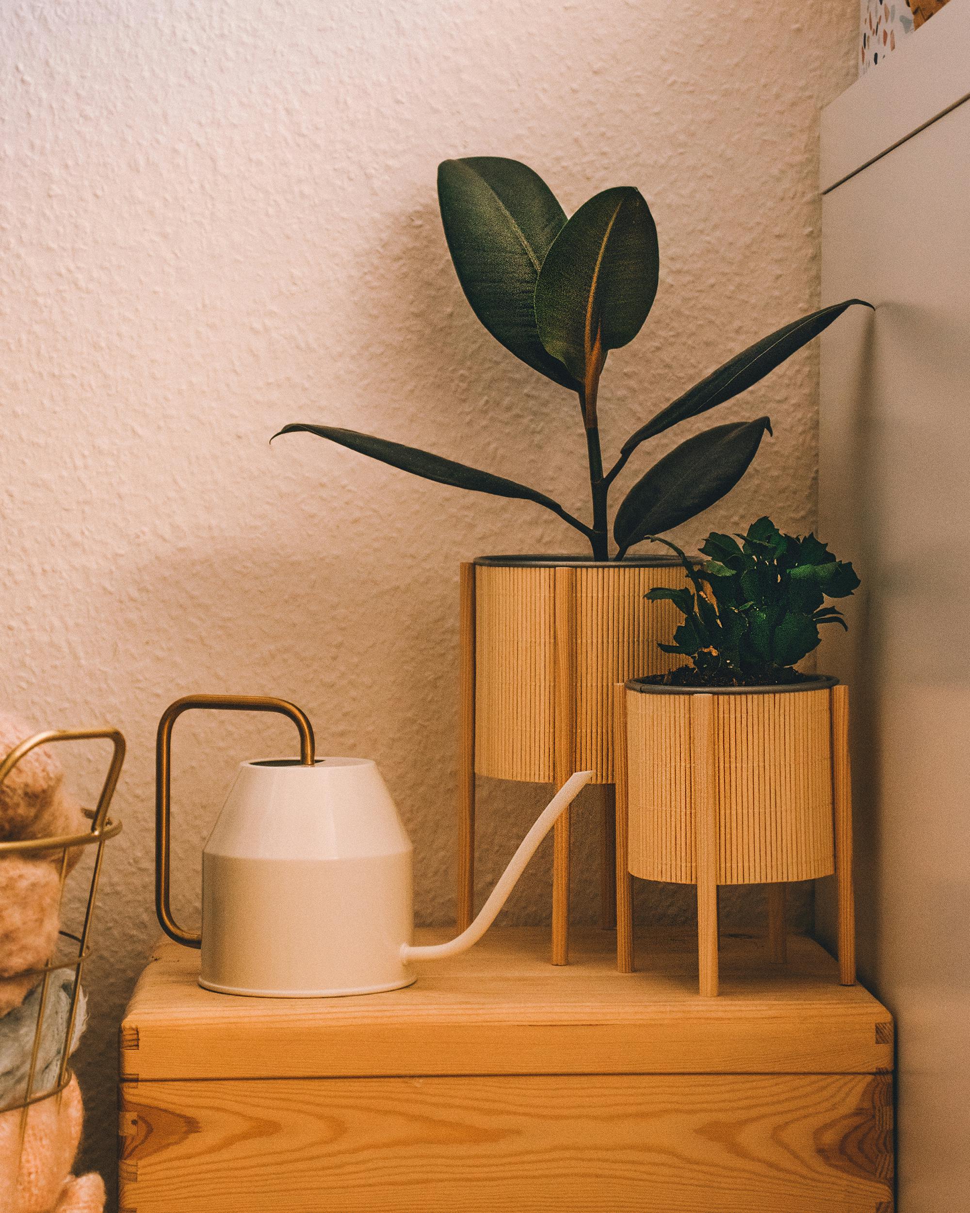 why home decor is trending